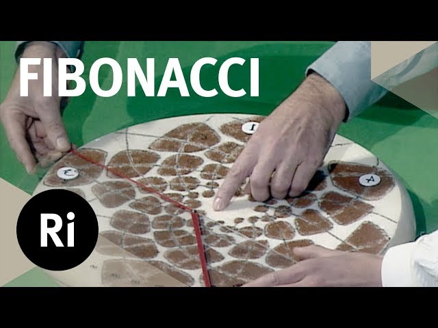 The Golden Angle - Christmas Lectures with Ian Stewart