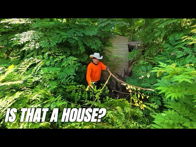 A Forgotten House Neighbors Hadn’t Seen in DECADES Finally Sees Daylight