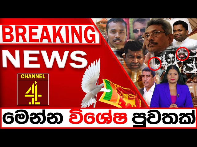 BREAKING NEWS|Channel 4