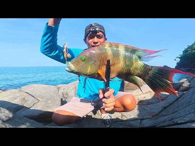 Fishing TIPS ? For Newbie Anglers