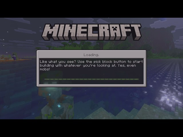 Minecraft_20260215075853