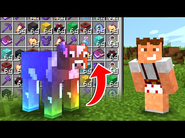 I pass Minecraft but the Mobs Leave OP Loot
