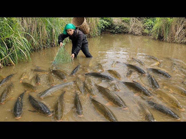 Found a Hidden Pool Full of Giant Fish... and Caught Them All!