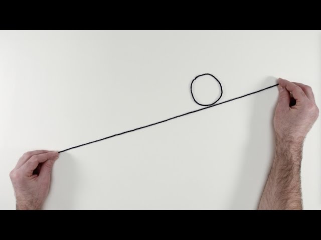 4. Get Savvy With Systems - 4/7 Doughnut Economics