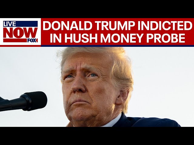 Donald Trump indicted: Becomes 1st current or former president charged with crime | LiveNOW from FOX