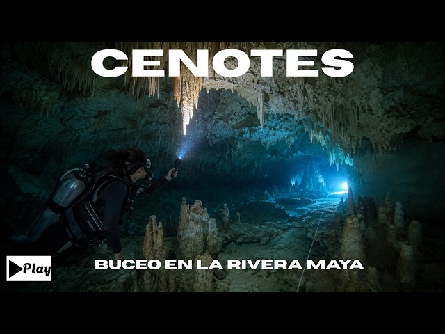 Diving in Cenotes: Everything You Need to Know Before Entering a Cave