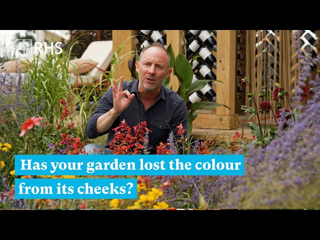 How to perk up tired looking gardens | The RHS