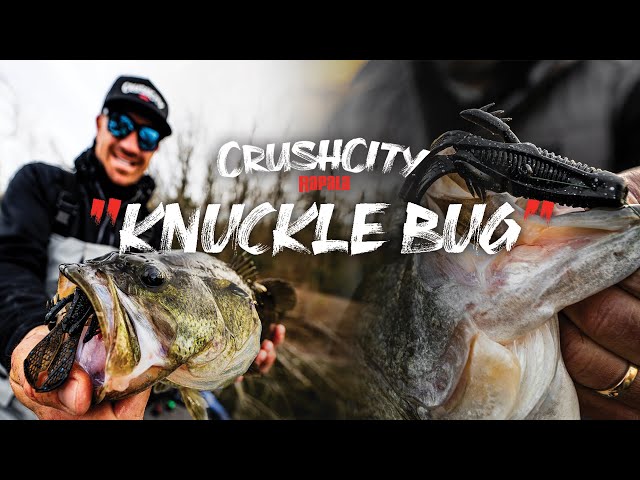 Rapala® | NEW CrushCity™ Knuckle Bug