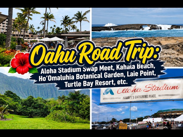 Oahu Road Trip: Aloha Stadium Swap Meet, Ho’Omaluhia Garden, Laie Point, Turtle Bay Resort, etc.