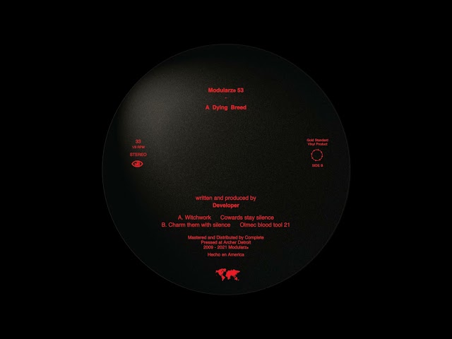 Developer - The Pusher [MODULARZ53]