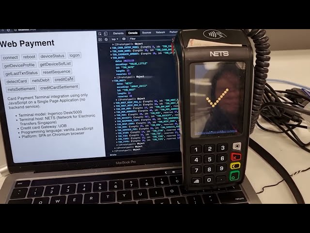 Visa Mastercard payment using JavaScript API