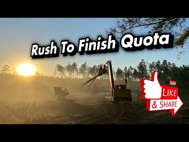 John Deere & Tigercat Logging Equipment Trying To Get Our Quota In
