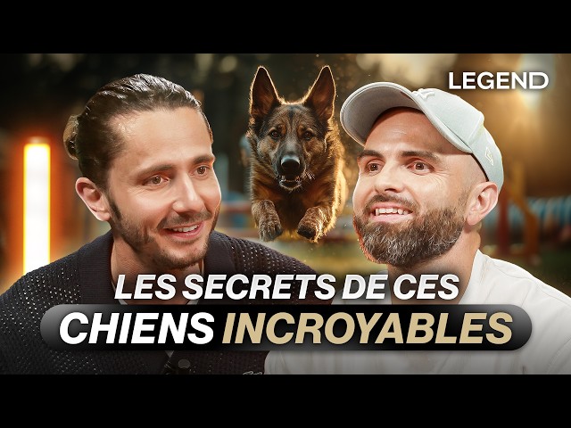 TOUS LES SECRETS INCROYABLES DES CHIENS : ILS SENTENT LE CANCER ET VOIENT LES FANTÔMES ? ESPRIT DOG