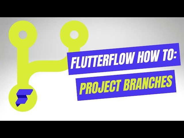 Become A Better Developer With Project Branches In Flutterflow