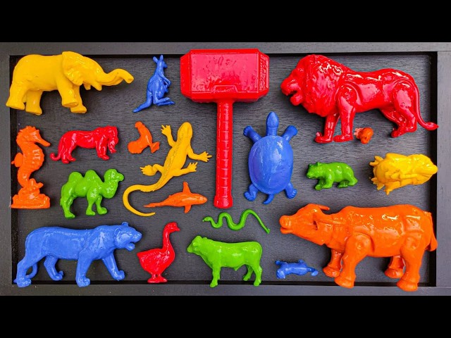 Membersihkan Mainan Hewan, Velociraptor, Stegosaurus, Triceratop, T-Rex, Pinguin, Panda, Ikan Hiu
