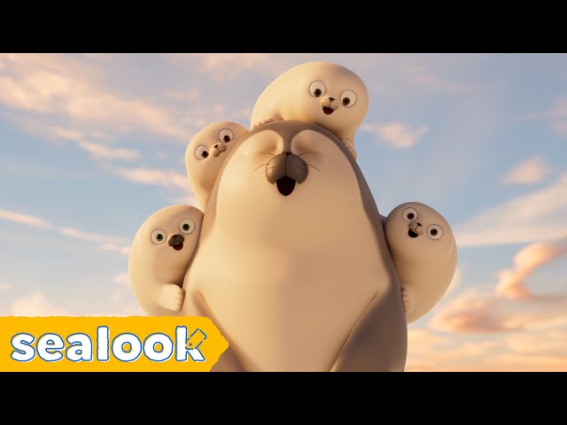 Baby Seals’ Hotspot🔥 | SEALOOK | EP.110