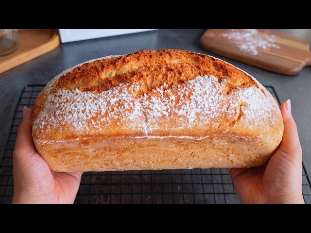 Homemade Bread in 5 Minutes! No Knead, No Shaping, No Wait