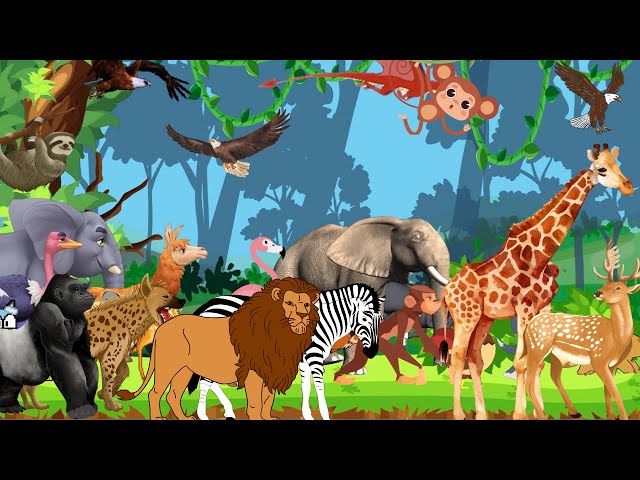 ABC Safari Animals Sounds Song | Learn A-Z Animal Sounds | Kids Smart Learning 15TH1025