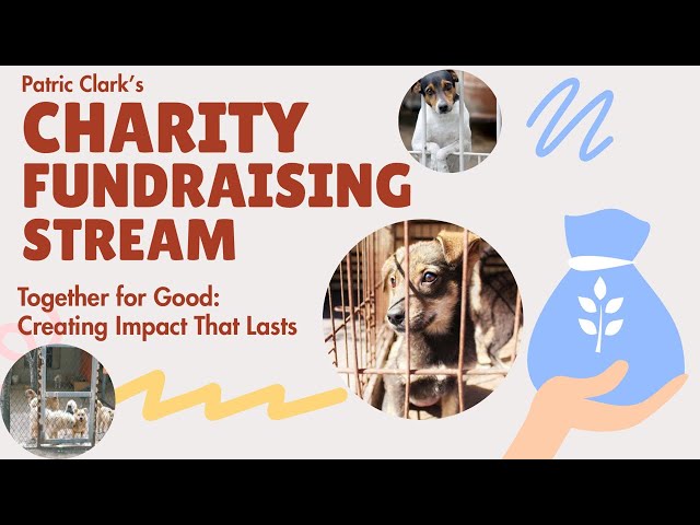 🔴 LIVE: Acoustic Live Music by the beach