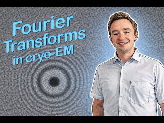Fourier transforms in cryo-EM | Convolution, Gaussian filters, Fourier Shell Correlation, FFT