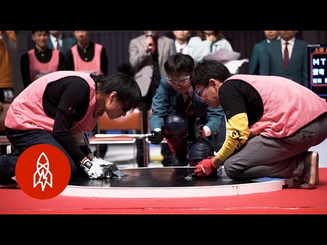 The Freakishly Fast World of Robot Sumo