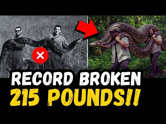 🚨 BREAKING: Man-Eating Python? 215-Lb RECORD - 5 Men Fought 45 Minutes!!