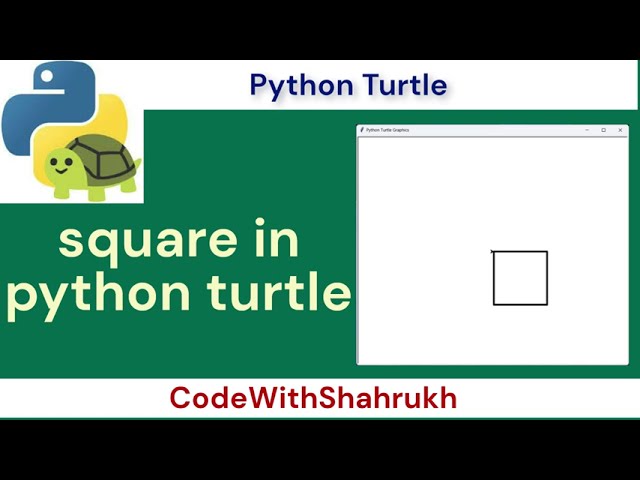 square in python turtle. #pythonturtle