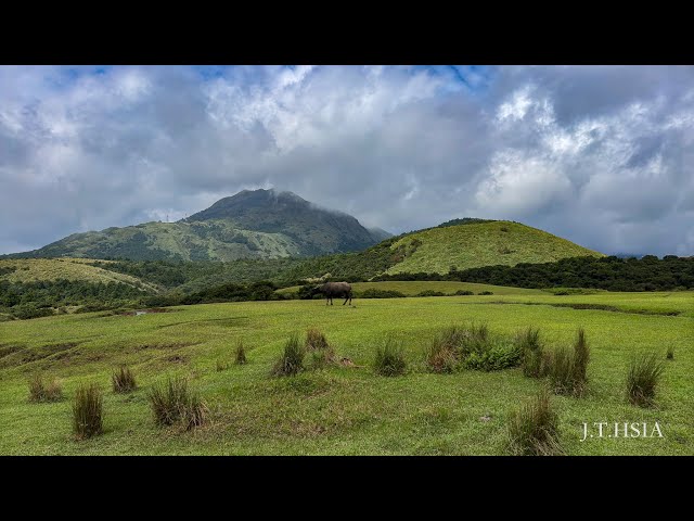 陽明山之旅2024 0923~25   4K