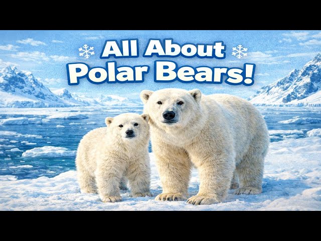 All About Polar Bears! | Bite Size Lessons!