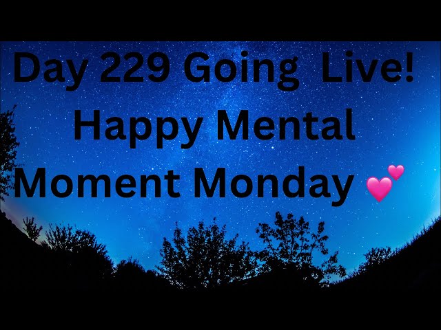 Day 229 Of Being A Consistent Content Creator!