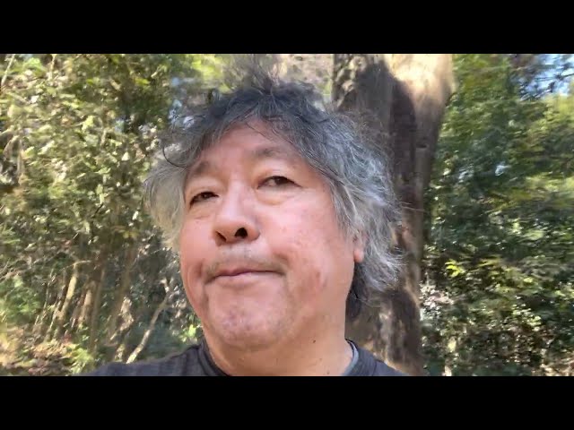 What the current Large Language Models are lacking.