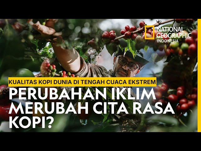Will Coffee Seeds of the Future Be Sent to Indonesia? - National Geographic Indonesia