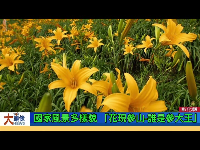 參山處推廣國家風景的多樣貌「誰是山大王」活動