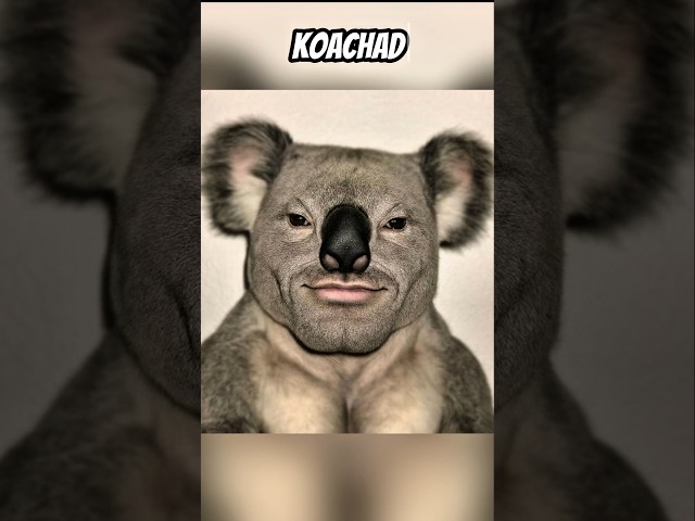 If Humans Evolved From Animals 👦=🐱