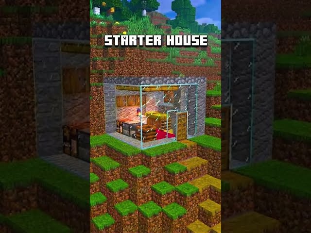 Minecraft Starter House 🏠 #shorts #minecraft