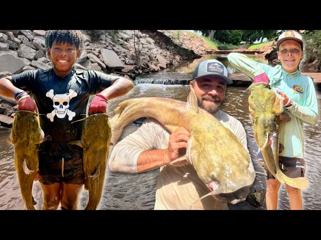 Giant Catfish Caught Bare-Handed in Tiny Creek