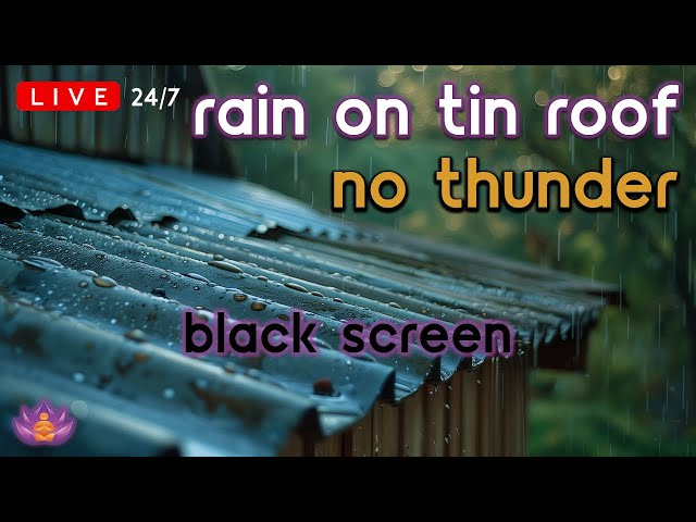 🔴 [LIVE 24/7] Steady Rain on Tin Roof - No Thunder | Rain Sounds for Sleeping [Black Screen]