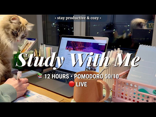[LIVE] 12 HR • STUDY WITH ME • Pomodoro 50/10 🔥 Fireplace sound
