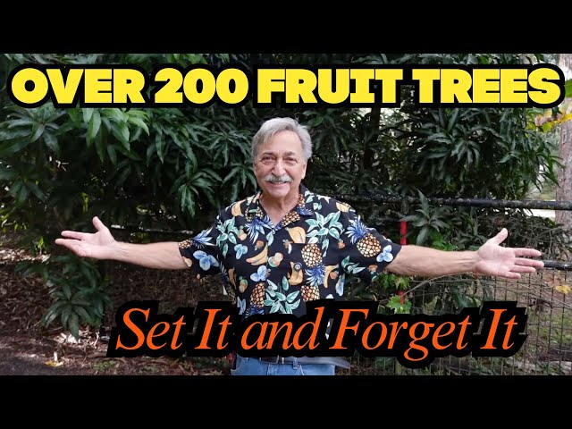 Growing Fruit Trees Without Spraying Watering or Overthinking