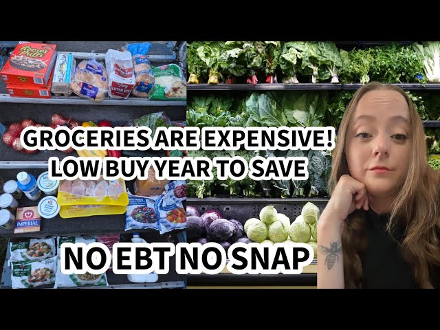 DITL REAL LIFE ON A LOW INCOME 