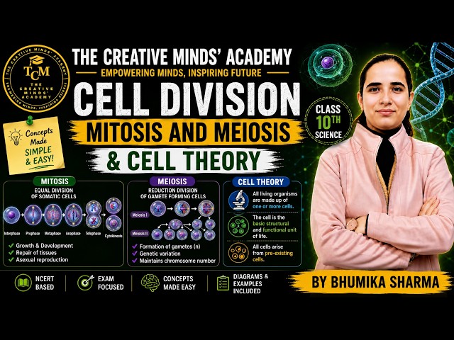 How Does a Cell Divide? 🧬 | MITOSIS & MEIOSIS | CELL THEORY | Class 9 Science