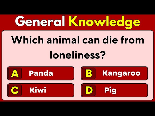 Ultimate General Knowledge Quiz | 40 Mixed GK Questions | Test Your Brain Power