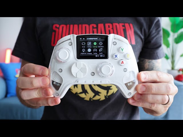 Anbernic Made Another Controller (RG G01)