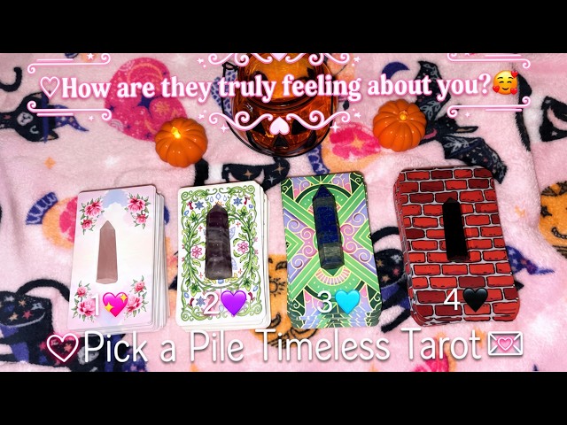🖤🎀 How Are They Really Feeling About You? 🕊️✨ Timeless Love Tarot Reading 🌸