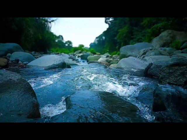 Relaxing River Water Flow for Sleep, Stress Relief & Deep Mental Calmness