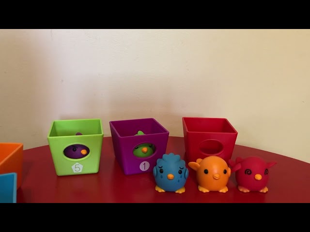 Peek-a-bird learning resources, resource land review