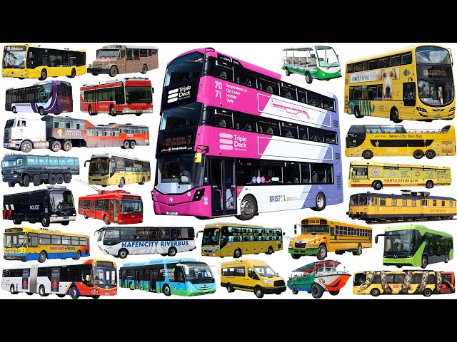 SUPER LONG BUS - Triple-decker bus, Coach, Ambulance, Police Bus | Buses Vehicle Name for kids