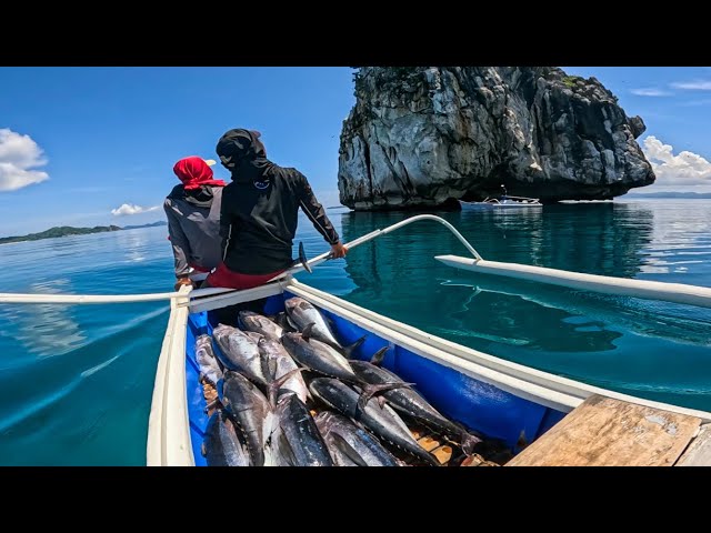 Walang Kaubusan Ang Tuna Sa Islang Bato Nato!