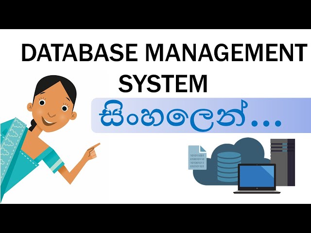 Database Management System Introduction | Sinhala