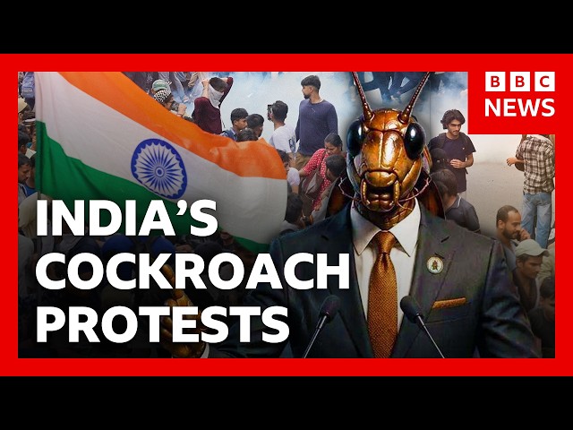 India’s ‘cockroach’ protests explained and what happens next | BBC News